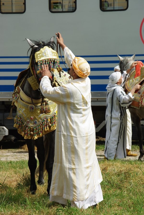 Le Moussem des Cultures 2008 120.jpg